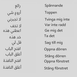 قاموس سويدي عربي لتعلم اللغة السويدية للكبار والاطفال